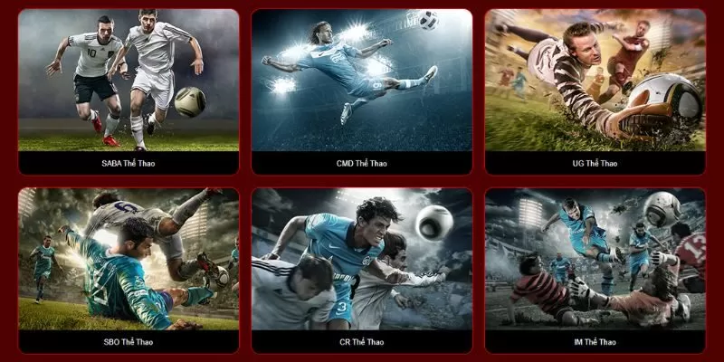 Thể thao tại nhà cái 33win Thể thao tại nhà cái 33win
